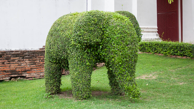 Illustration for article titled Sorry, Horny Boys, But These 7 Curvaceous Topiaries Are Pretty Much The Sexiest Thing We Can Get Through Your Middle School’s Content Filters